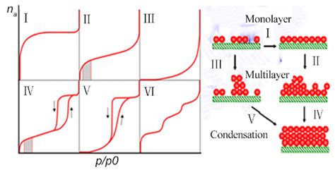 type adsorption isotherm bet